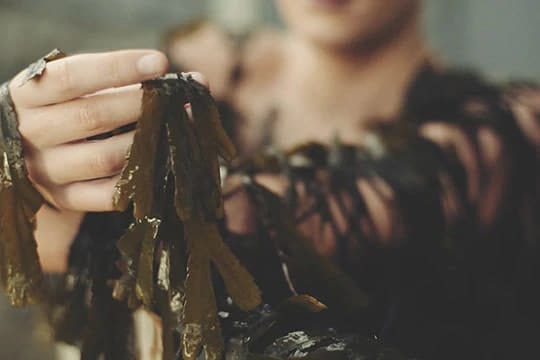 A woman is holding a bunch of seaweed known for its benefits in skincare.